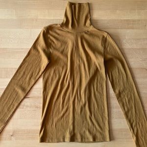 Everlane Pima Cotton Rib Turtleneck